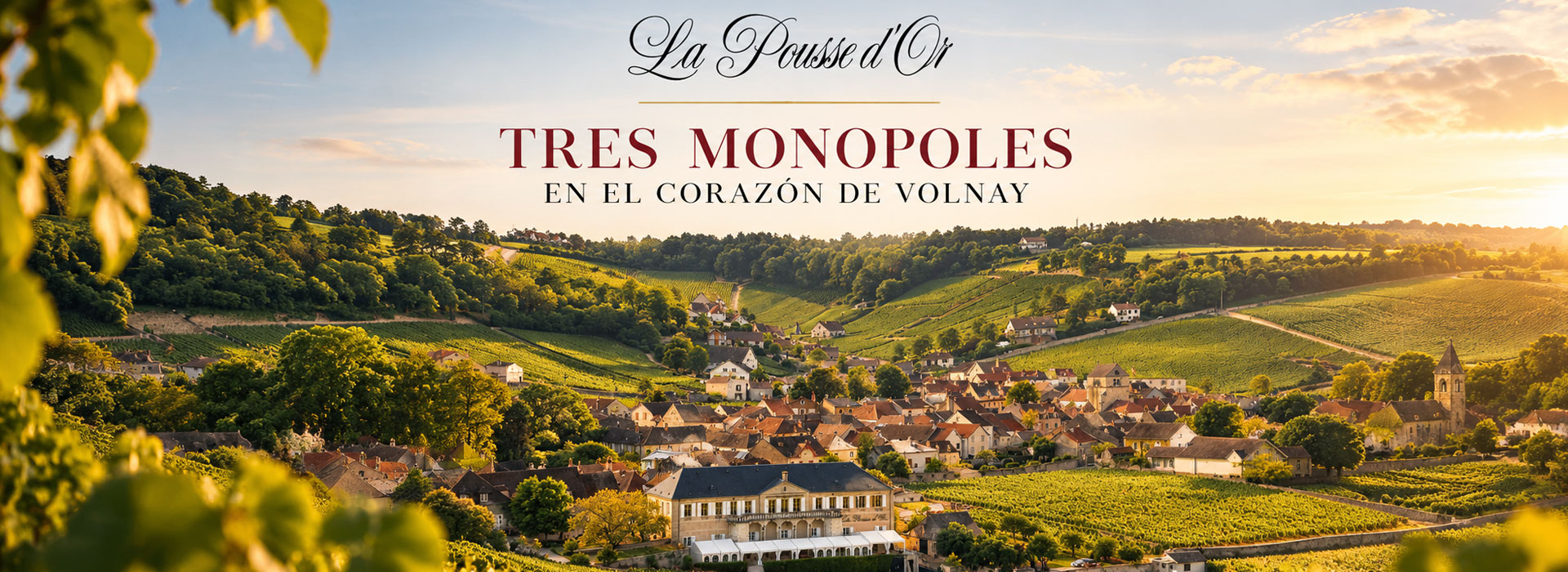 Cinco Visiones de Borgoña